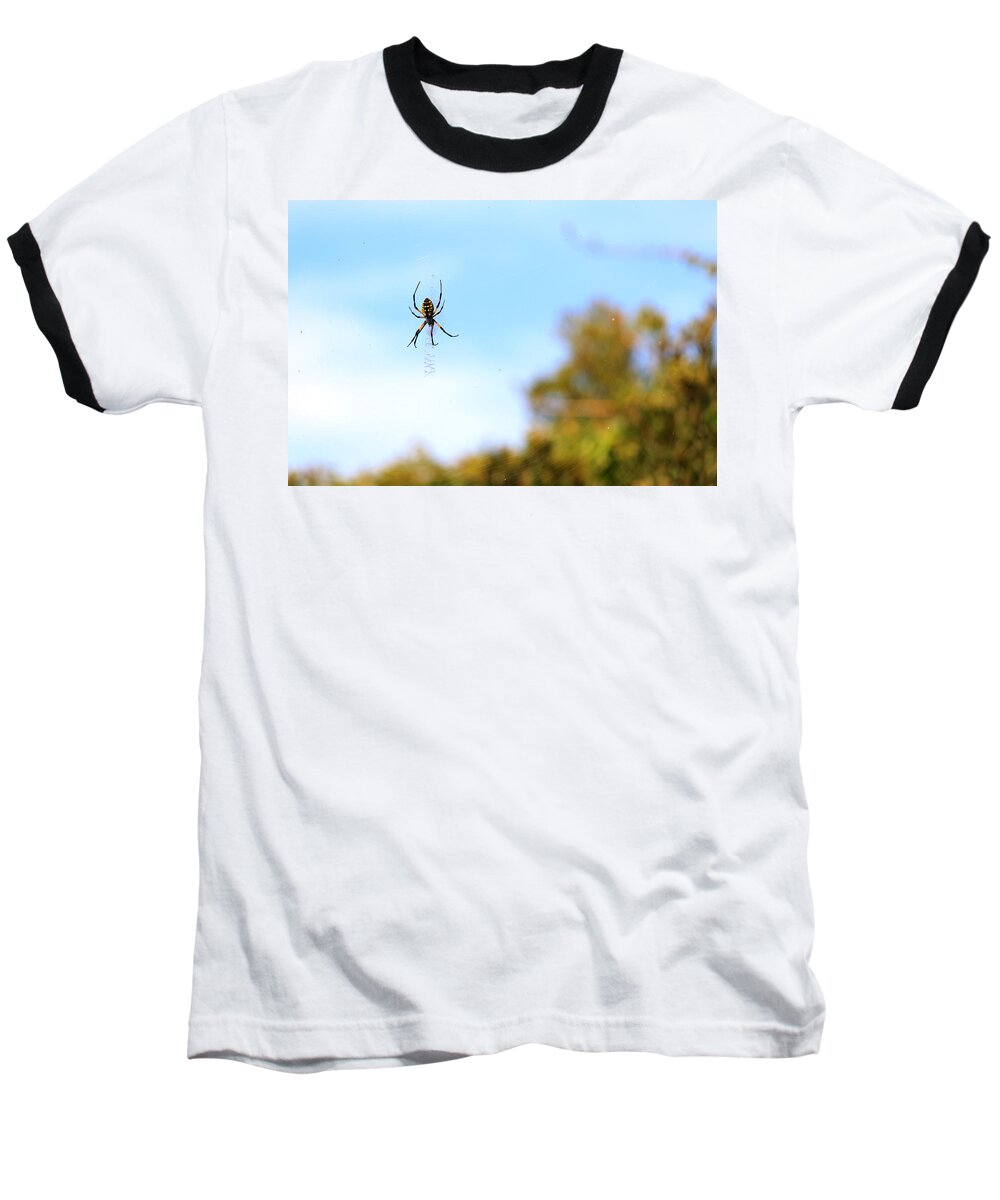 Arachnid Baseball T-Shirt featuring the photograph Suspended Spider by Travis Rogers