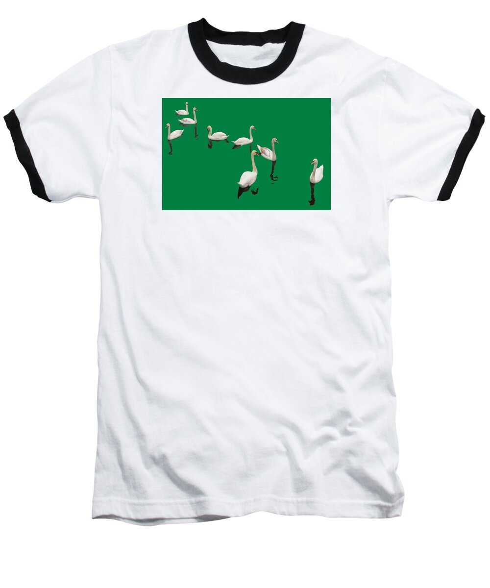 Background Green Baseball T-Shirt featuring the photograph Swan Family On Green by Constantine Gregory