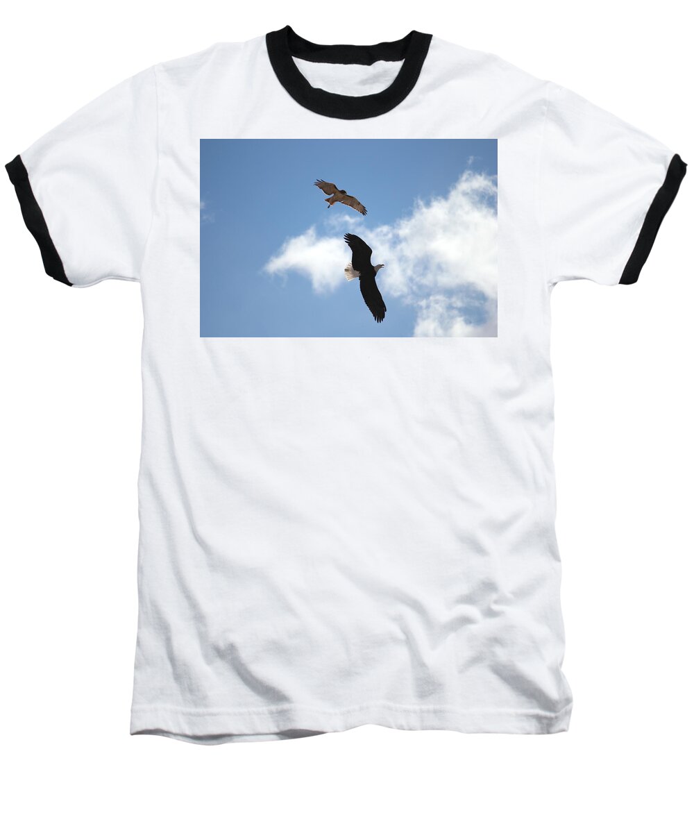 Hawk Baseball T-Shirt featuring the photograph Territory by Trent Mallett