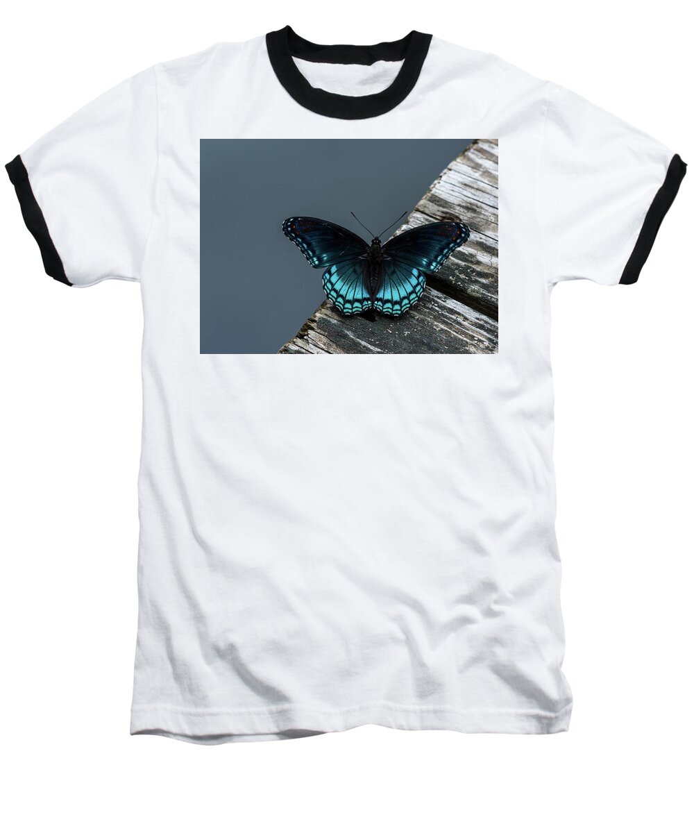 Butterfly Baseball T-Shirt featuring the photograph The Admiral by Jody Partin