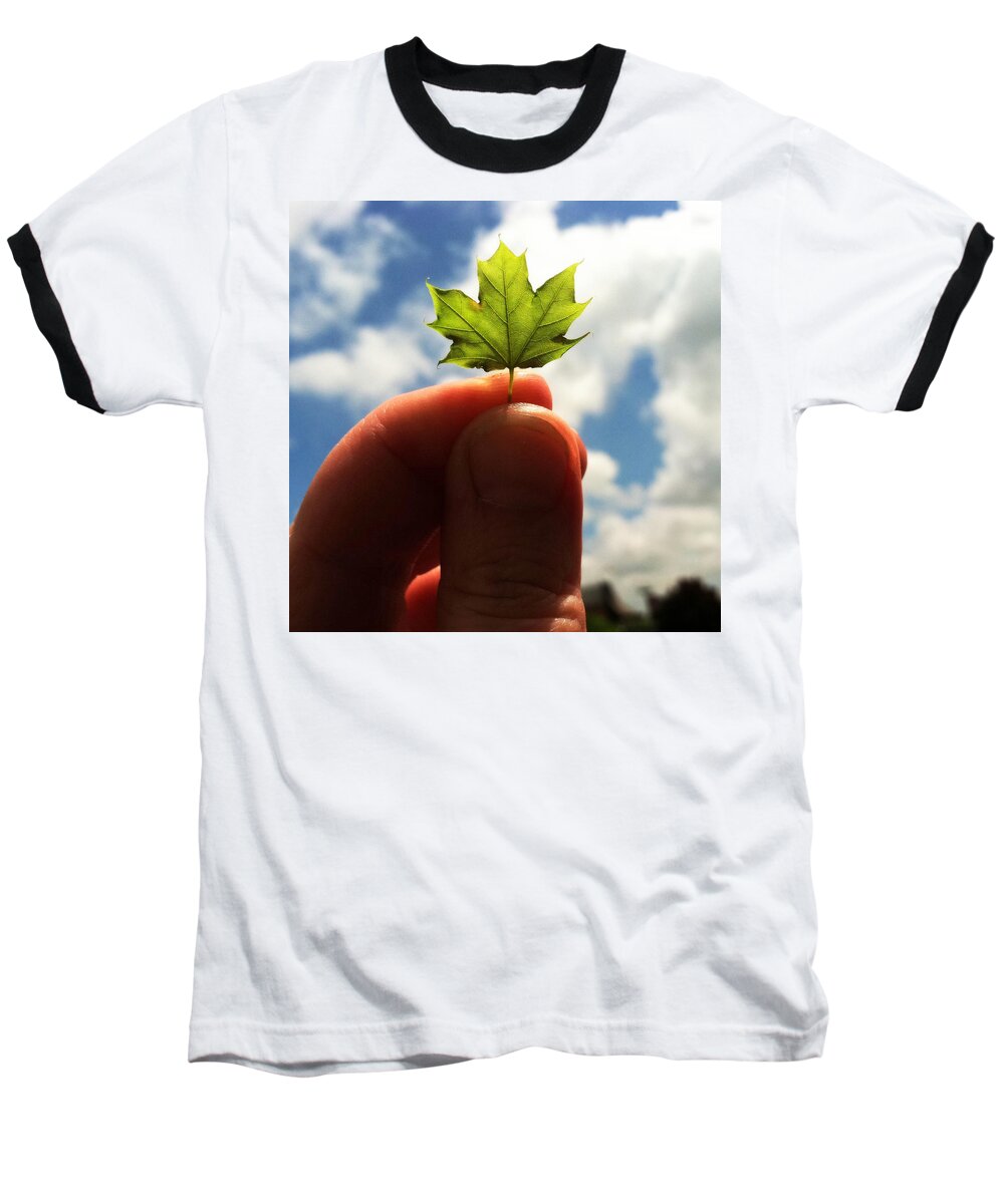 Leaf Baseball T-Shirt featuring the photograph The Mighty Maple by Michelle Calkins