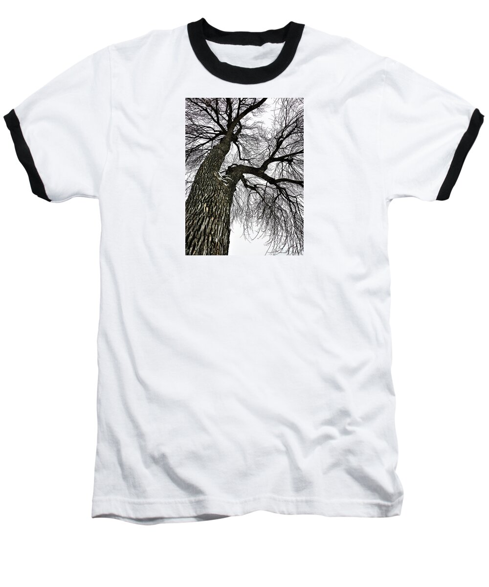 Tree Baseball T-Shirt featuring the photograph The Old Tree by Cristina Stefan