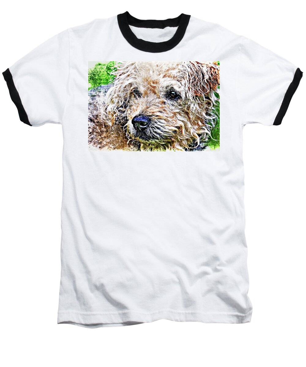 Dog Baseball T-Shirt featuring the photograph The Scruffiest Dog In The World by Meirion Matthias