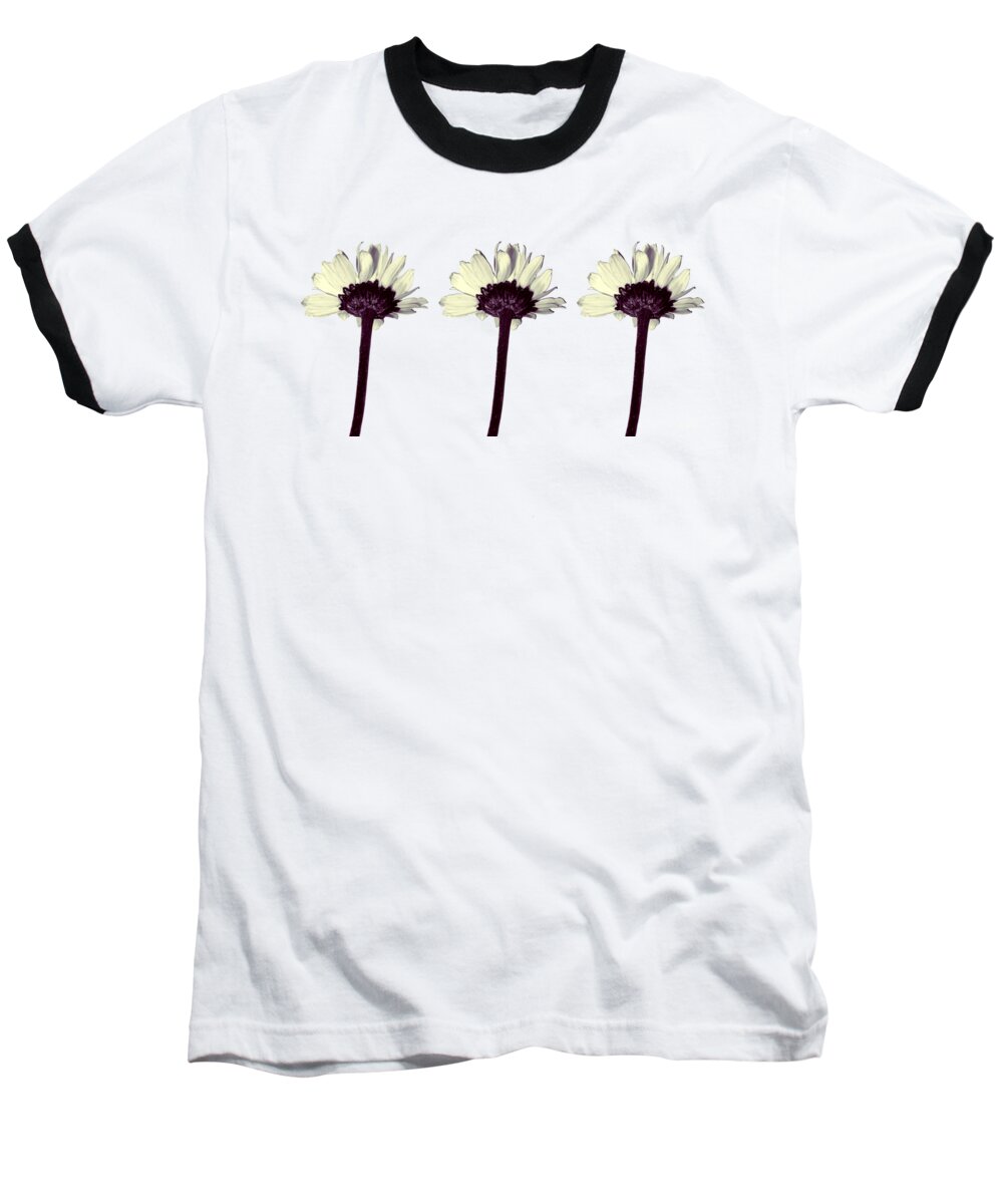 Daisy Baseball T-Shirt featuring the photograph Three Little Daisies by Shawna Rowe