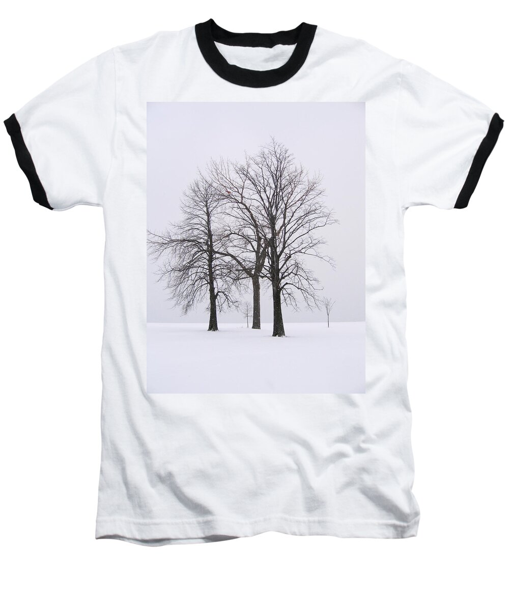 Trees Baseball T-Shirt featuring the photograph Three Trees by Laura Kinker