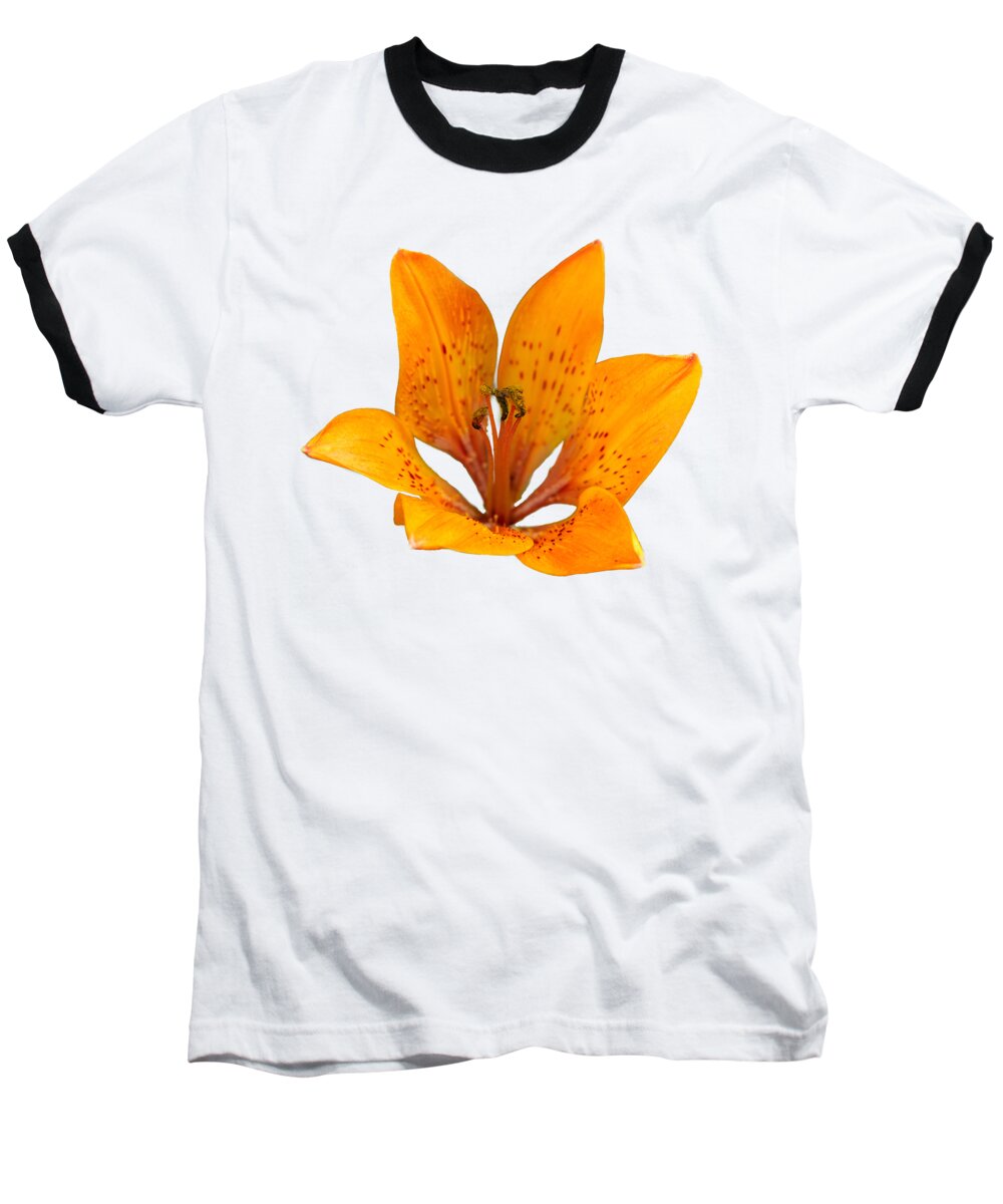 Finland Baseball T-Shirt featuring the photograph Tiger lily 1 trasparent by Jouko Lehto