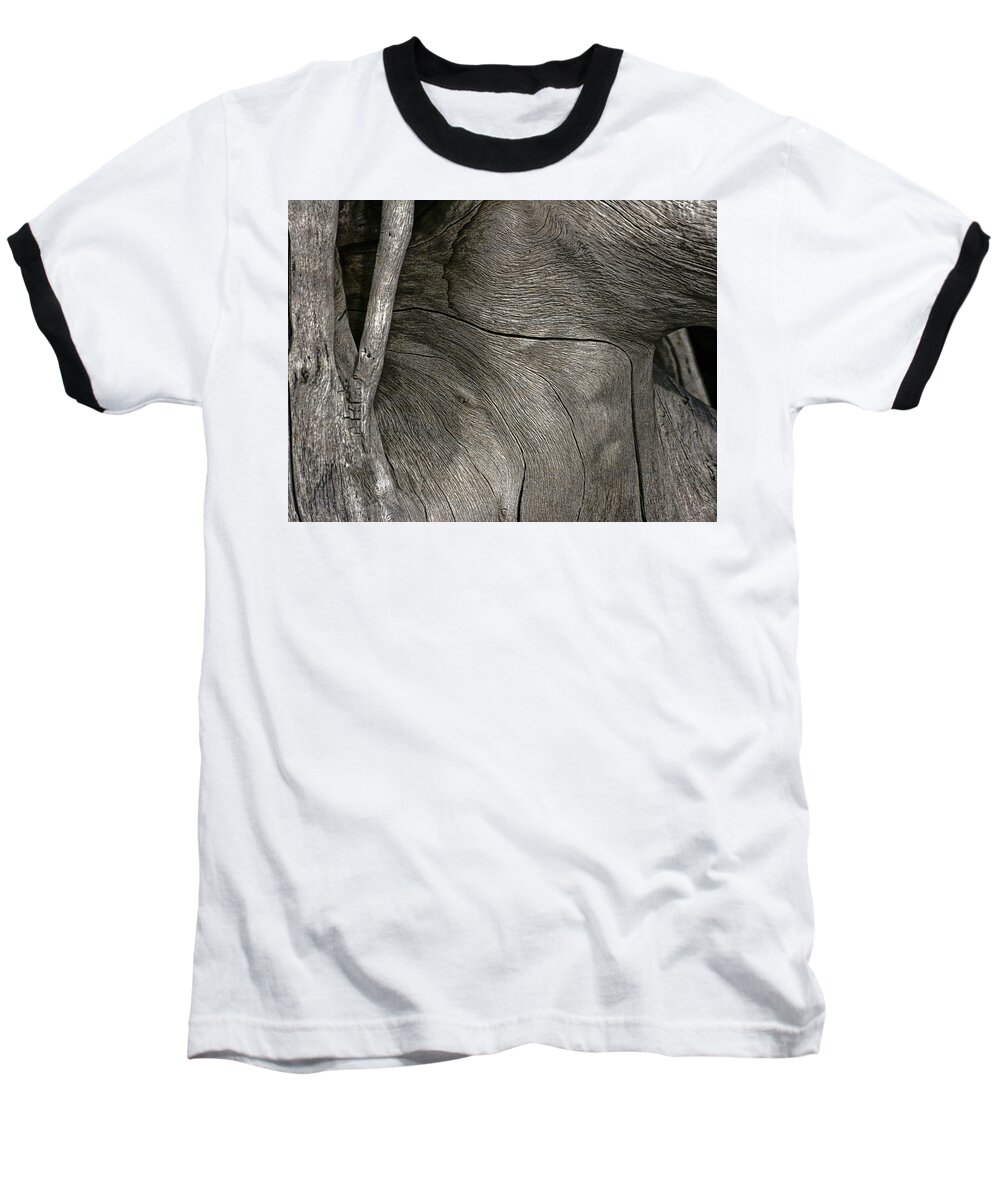 Trees Baseball T-Shirt featuring the photograph Tree Memories # 26 by Ed Hall