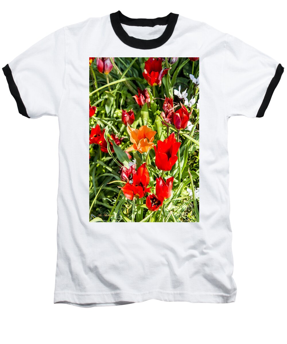 Spring Baseball T-Shirt featuring the photograph Tulip - The orange one 03 by Arik Baltinester
