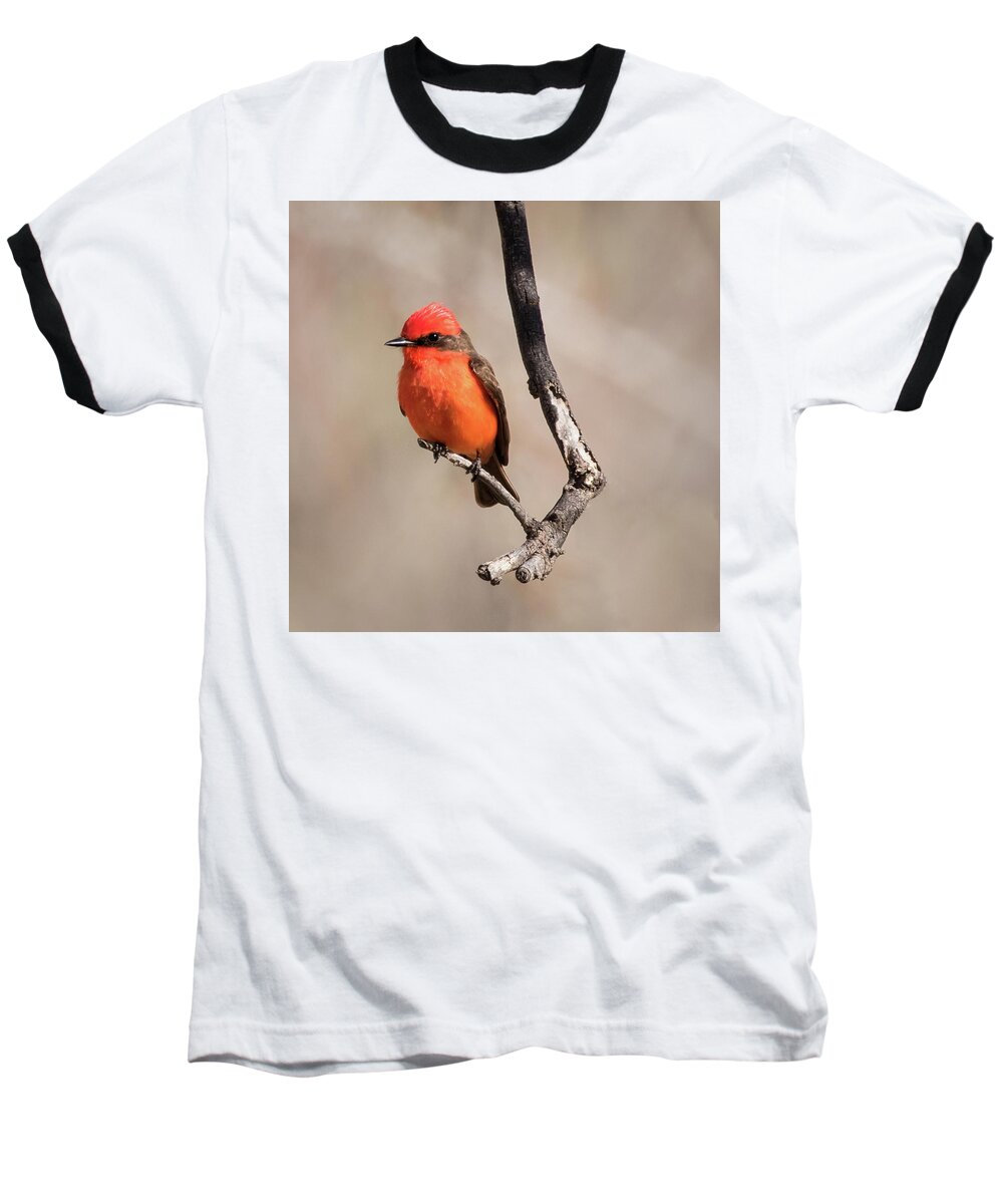 Vermilion Flycatcher Baseball T-Shirt featuring the photograph Vermillion Flycatcher by Jurgen Lorenzen