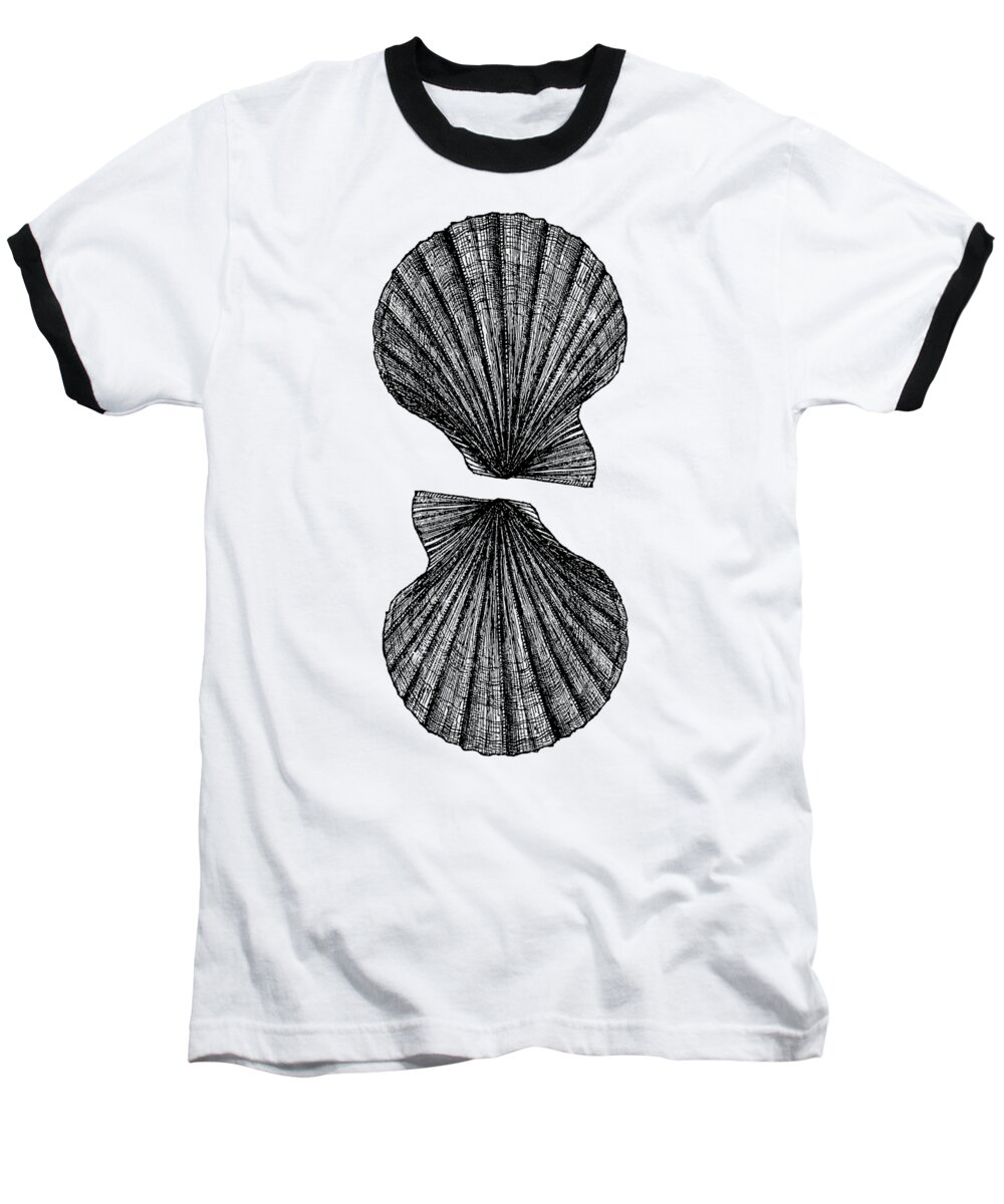 Vintage Baseball T-Shirt featuring the photograph Vintage Scallop Shells by Edward Fielding