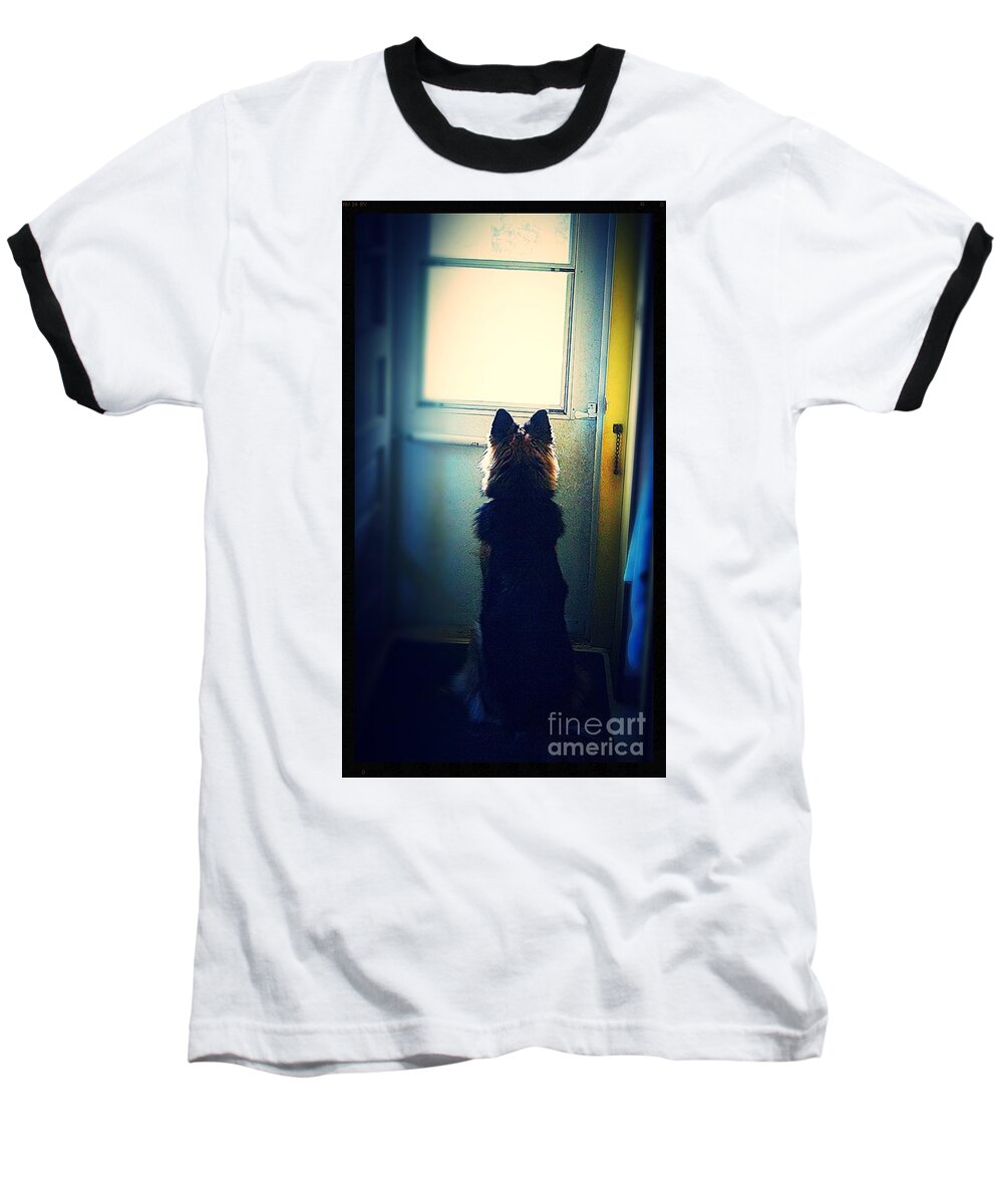 Dog Baseball T-Shirt featuring the photograph Waiting For Her Walk by Frank J Casella