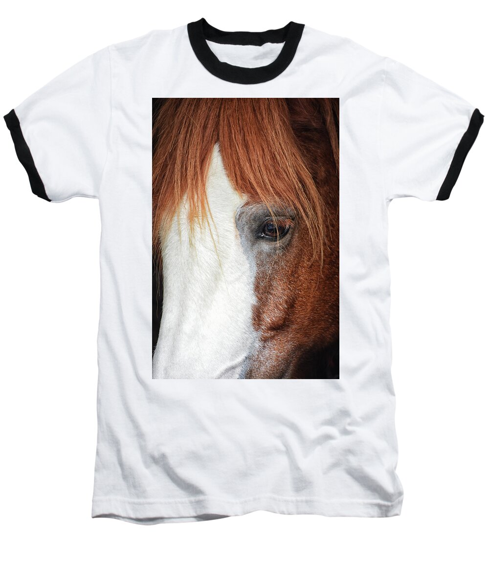 Horse Baseball T-Shirt featuring the photograph Waiting to start by Kuni Photography