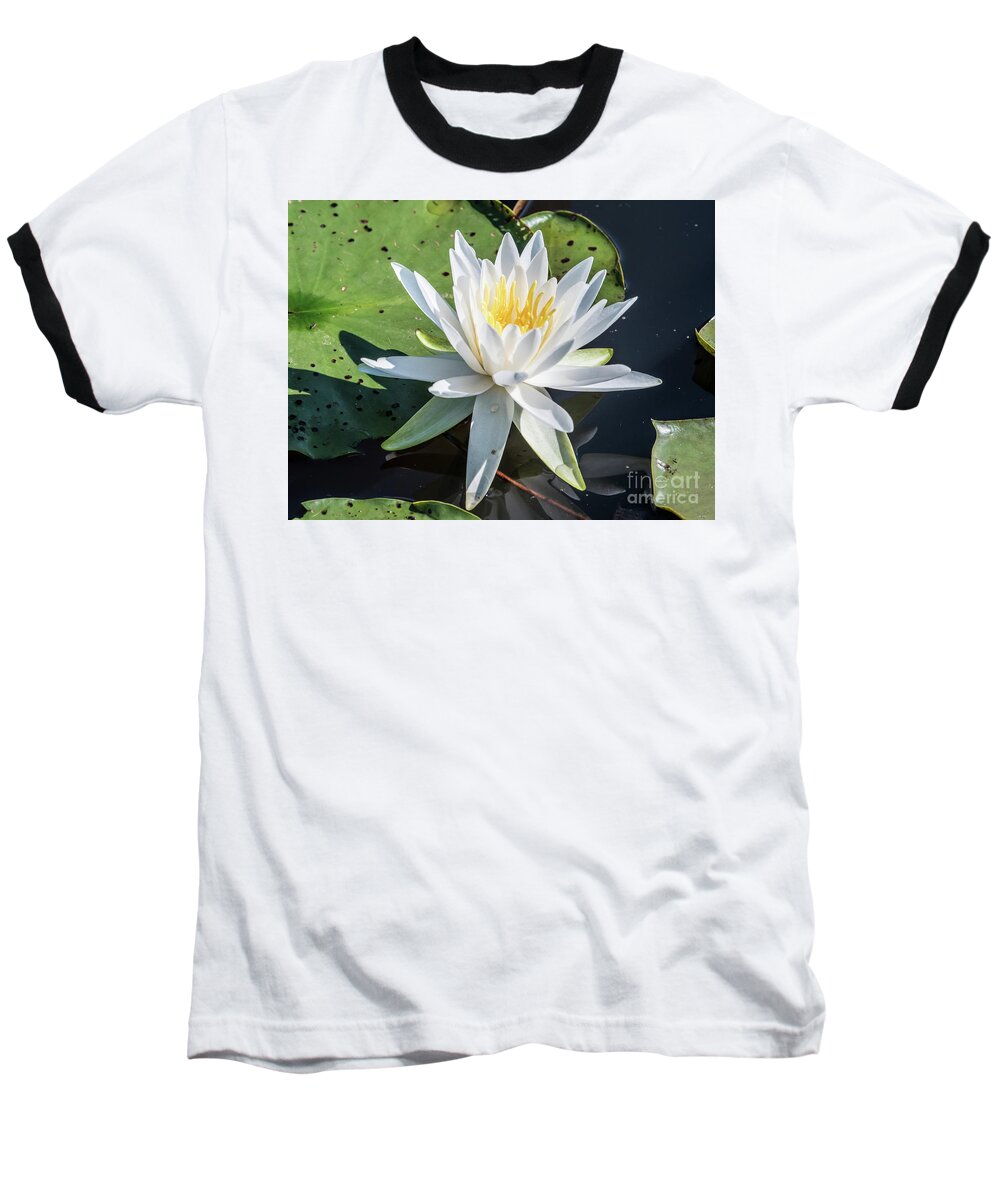 Water Lily Baseball T-Shirt featuring the photograph Water Lily by Scott and Dixie Wiley