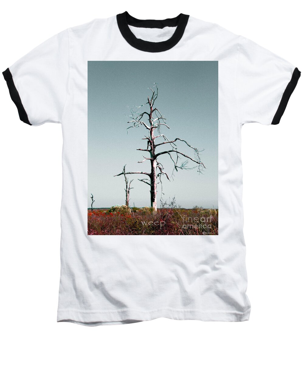 Tree Baseball T-Shirt featuring the digital art Weep by Lizi Beard-Ward