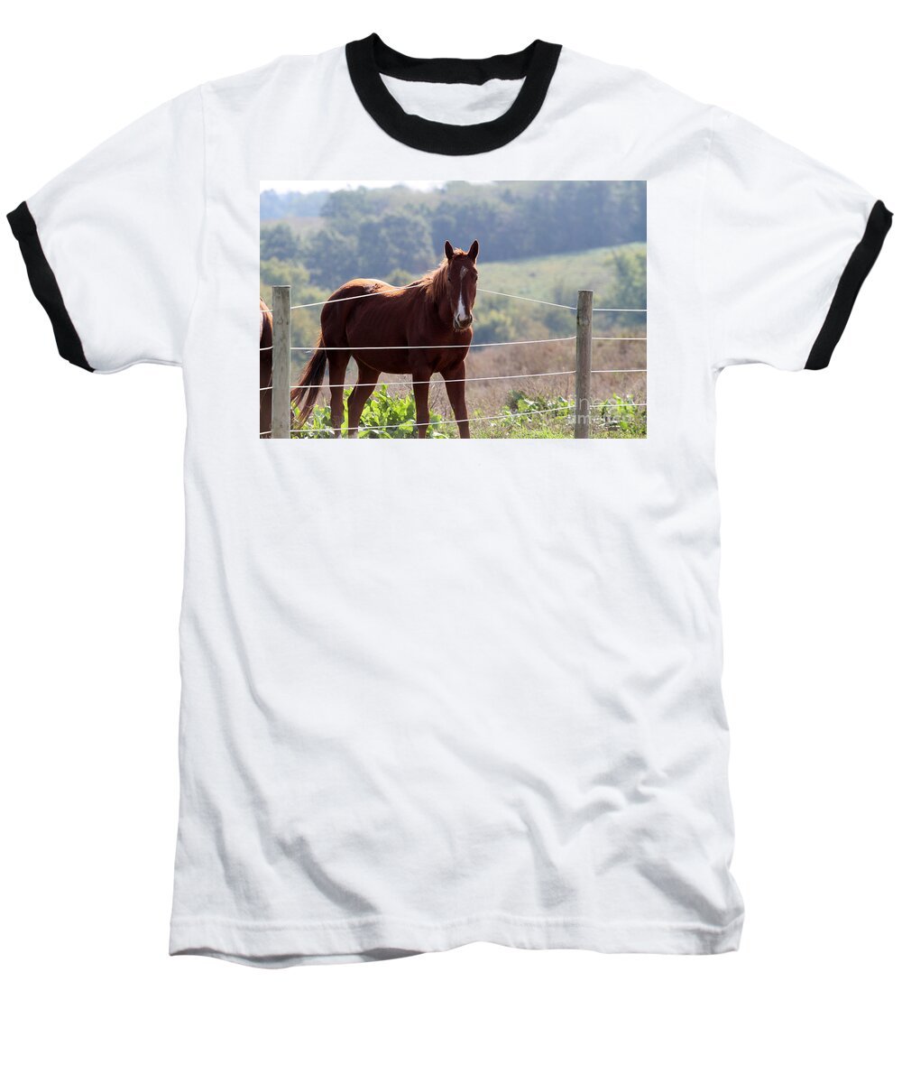 Horse Baseball T-Shirt featuring the photograph What? by Rick Rauzi