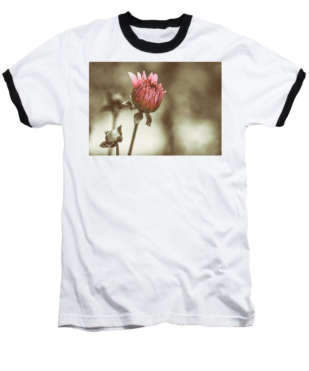 Dahlia Baseball T-Shirt featuring the photograph When We Were Young by Rob Davies