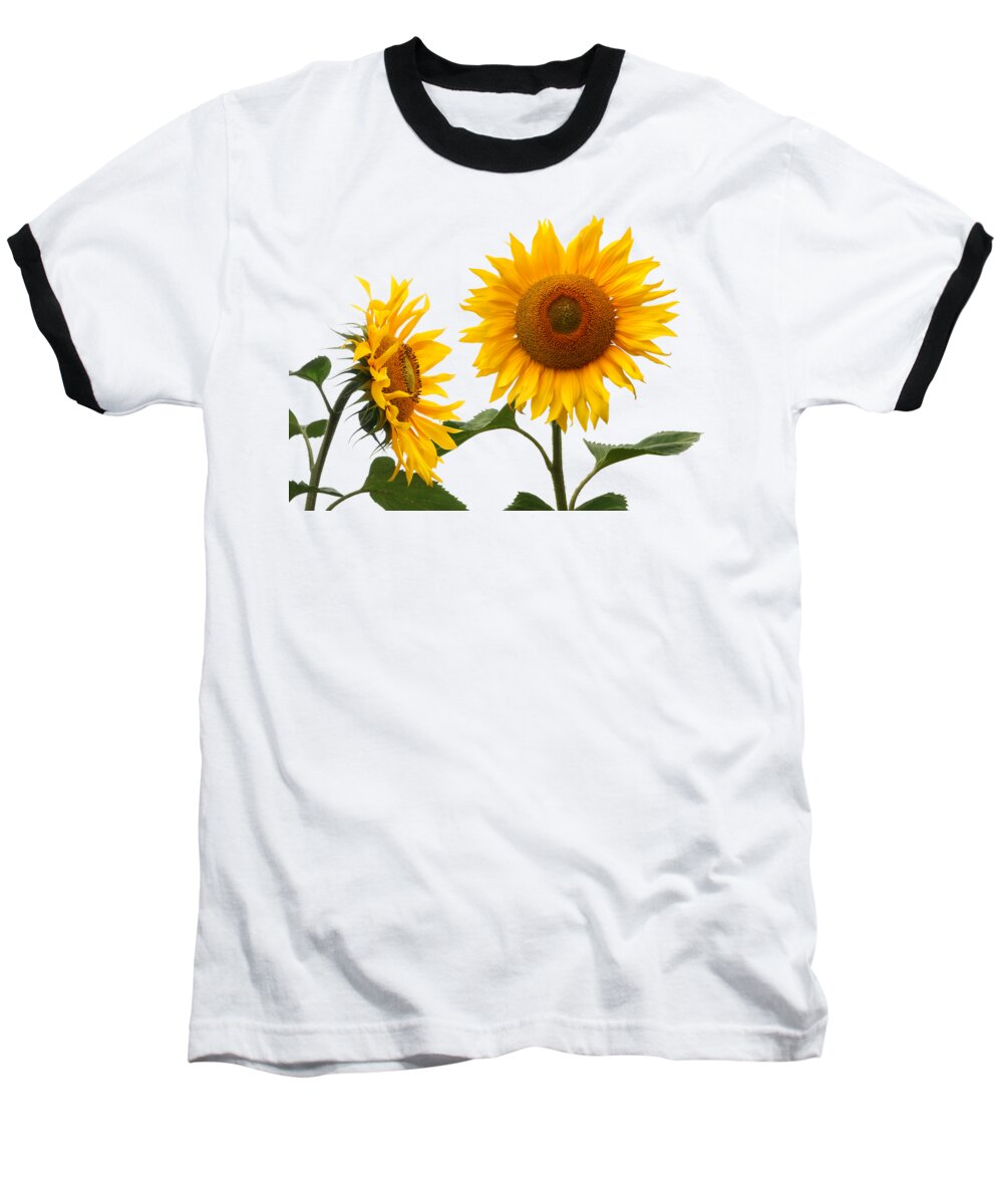 Sunflower Baseball T-Shirt featuring the photograph Whispering Secrets Sunflowers On White by Gill Billington