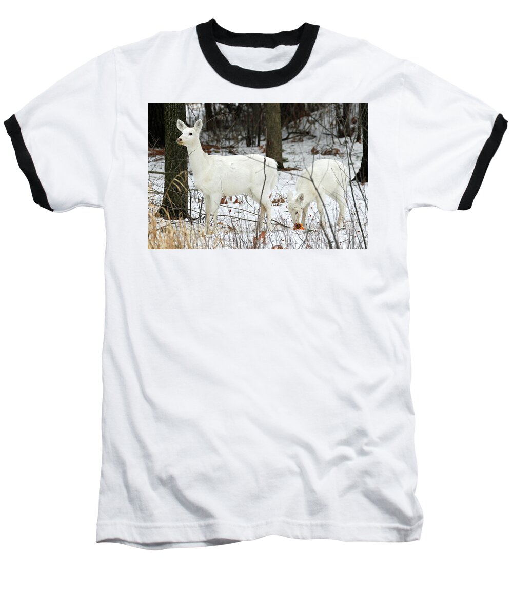 White Baseball T-Shirt featuring the photograph White Deer With Squash 4 by Brook Burling
