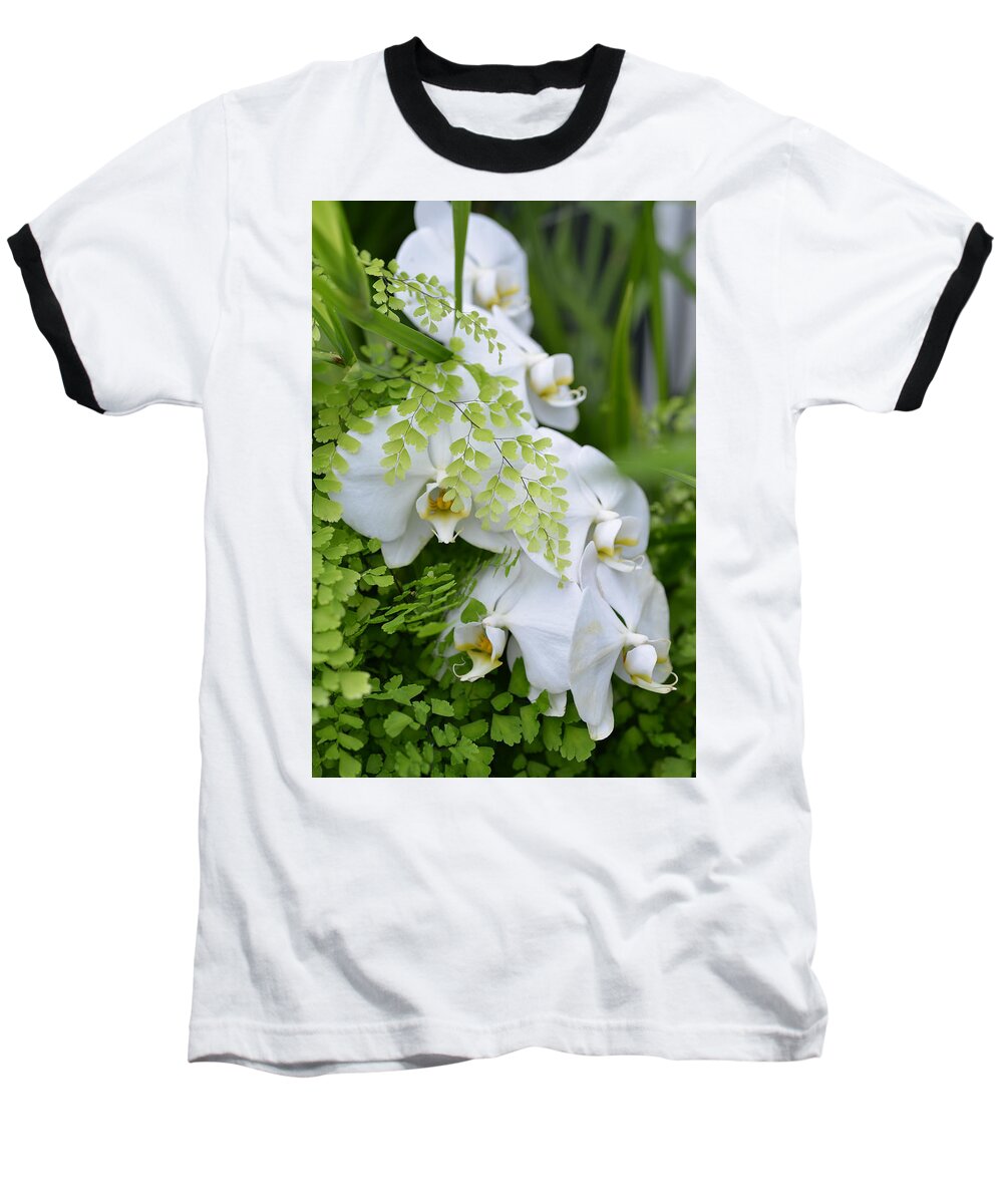 Ferns Baseball T-Shirt featuring the photograph White Orchids by Ronda Broatch