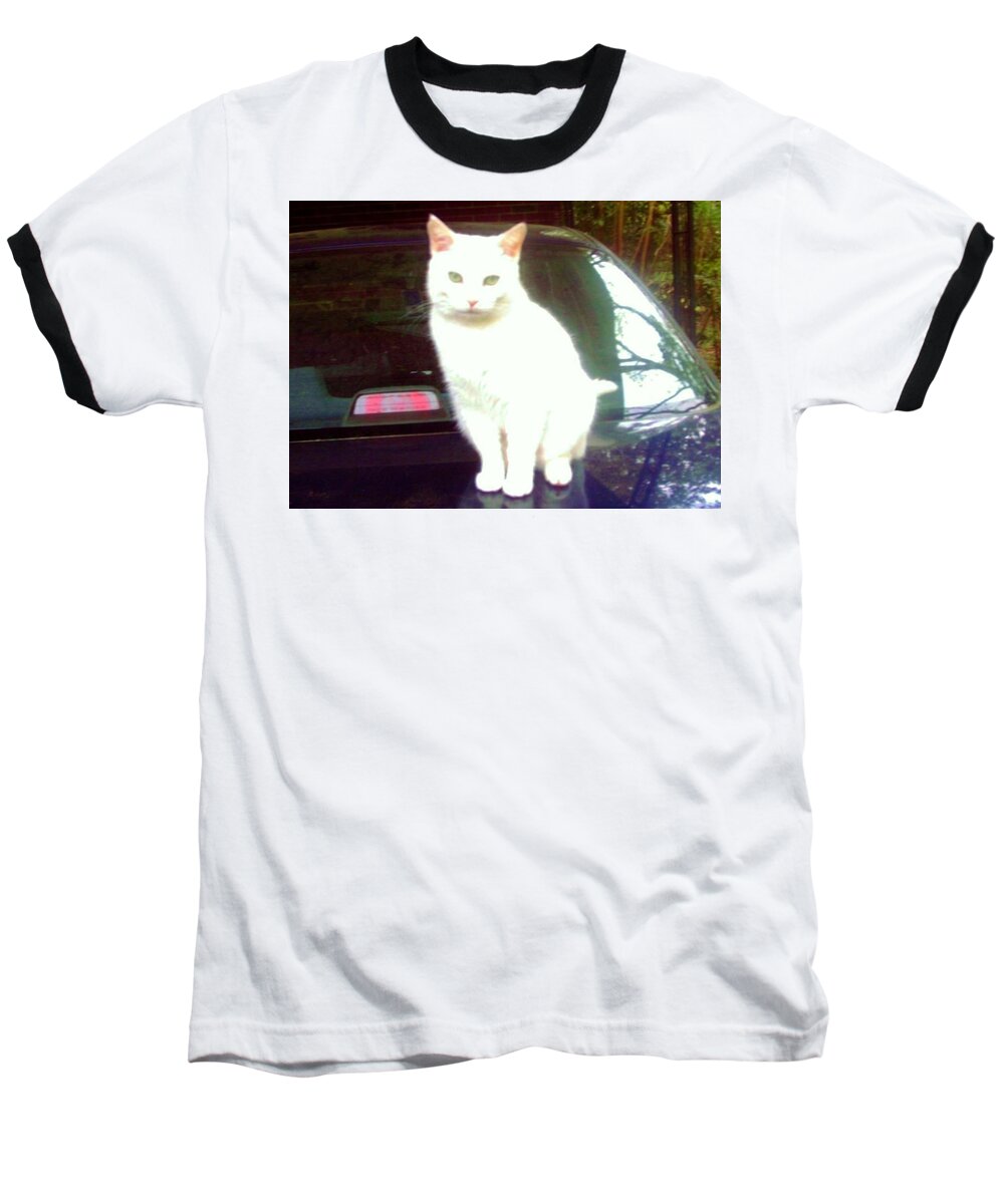Cat Baseball T-Shirt featuring the photograph Will Wash Car For Treats by Denise F Fulmer