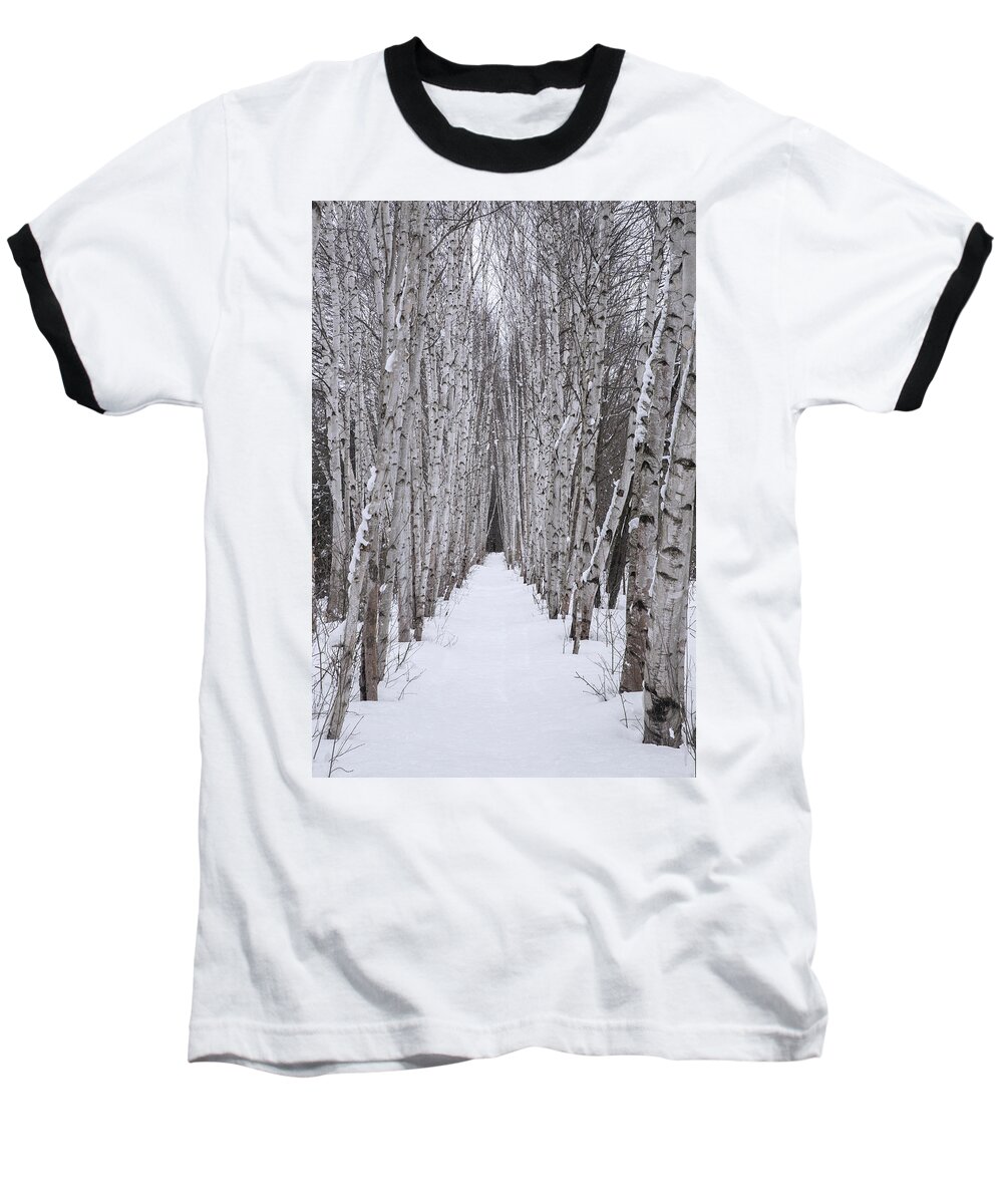 Winter Baseball T-Shirt featuring the photograph Winter Birch Path by White Mountain Images