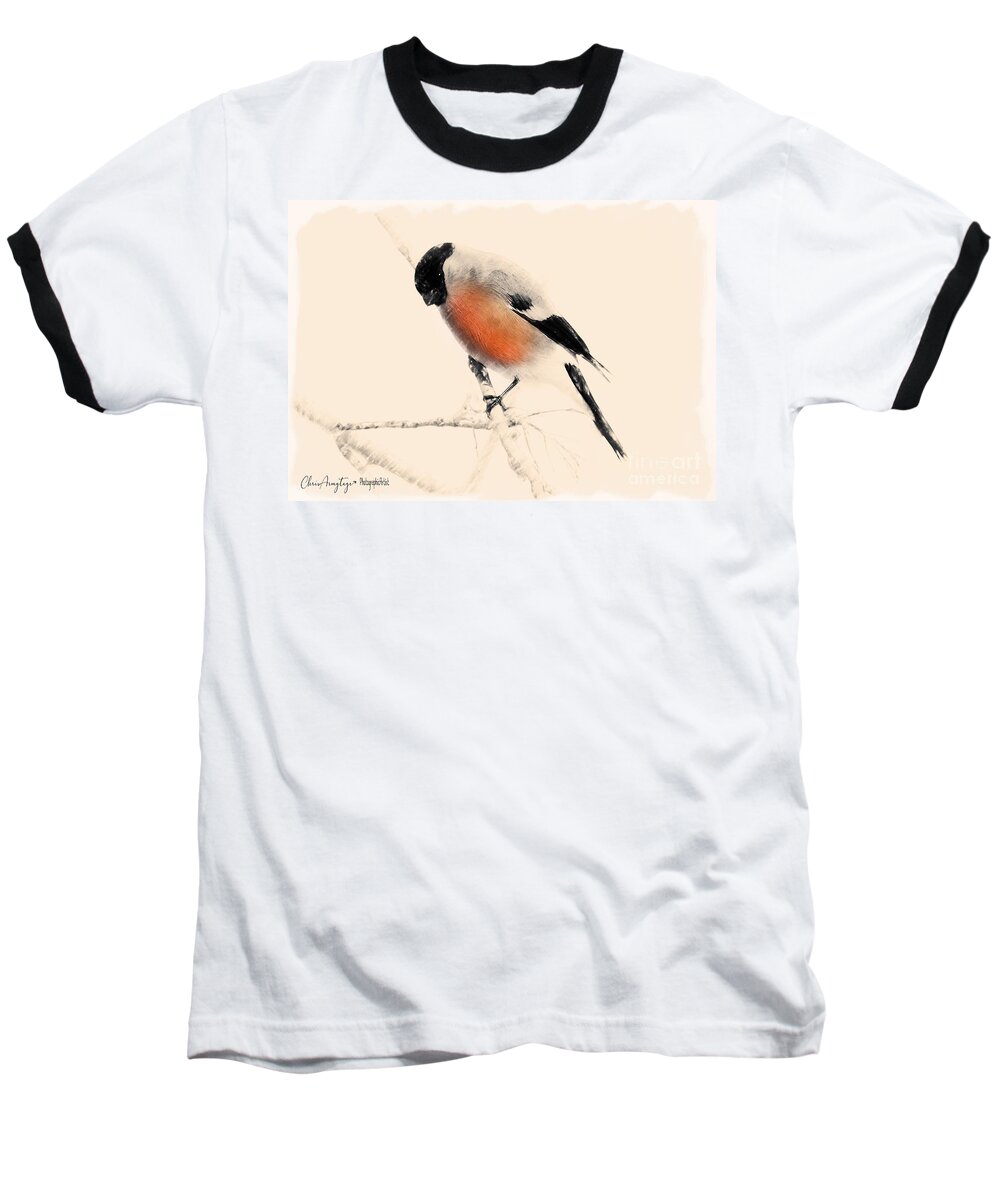 Bullfinch Baseball T-Shirt featuring the painting Winter Bullfinch by Chris Armytage