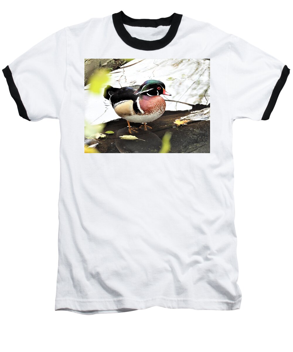 Duck Baseball T-Shirt featuring the photograph Mr. Wood Duck #1 by Betty-Anne McDonald