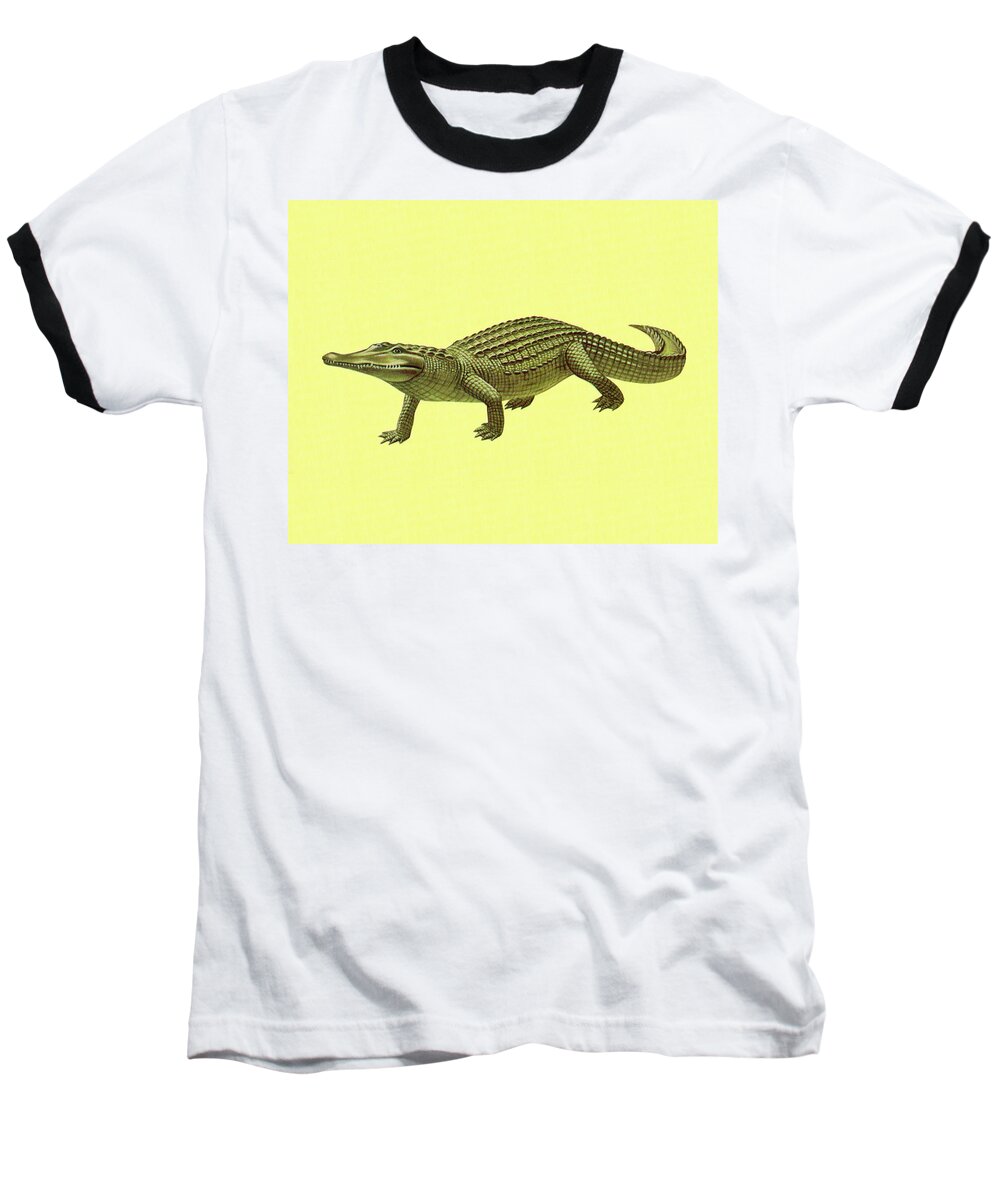 Alligator Baseball T-Shirt featuring the drawing Alligator #18 by CSA Images