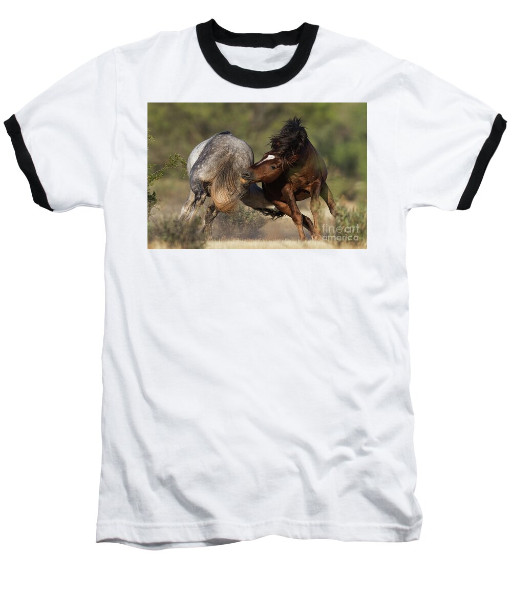 Battle Baseball T-Shirt featuring the photograph Battle by Shannon Hastings