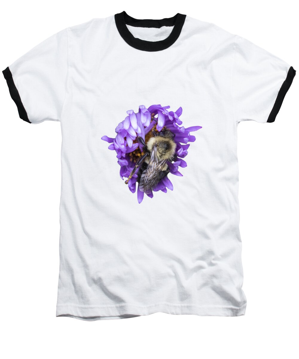 Bumble Bee Baseball T-Shirt featuring the photograph Bee 2018-1 Isolated by Thomas Young