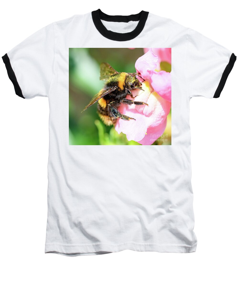  Baseball T-Shirt featuring the photograph Bee on flower by Colin Rayner