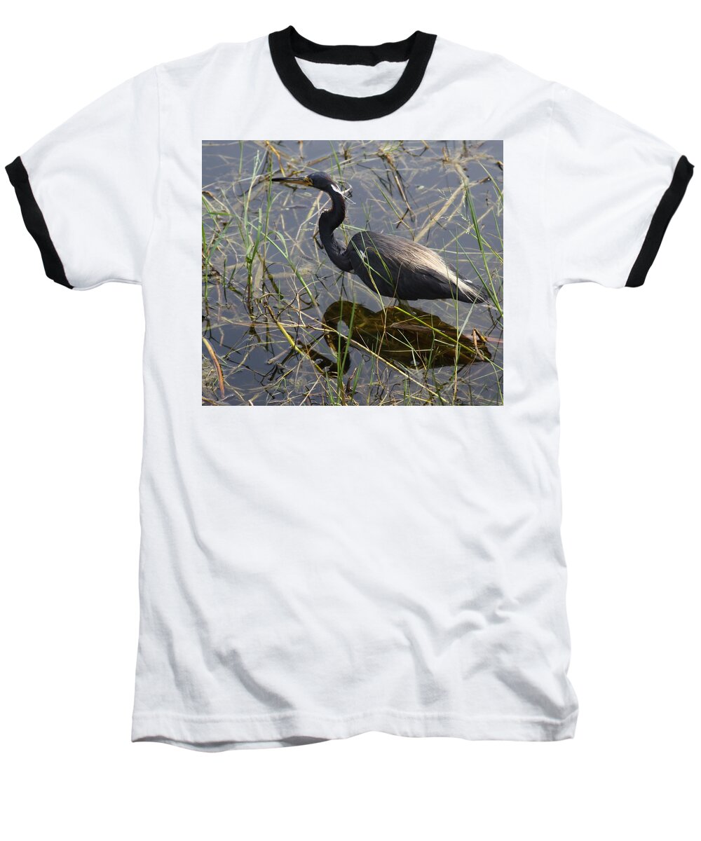 Blue Heron Baseball T-Shirt featuring the photograph Blue Heron by Philip And Robbie Bracco