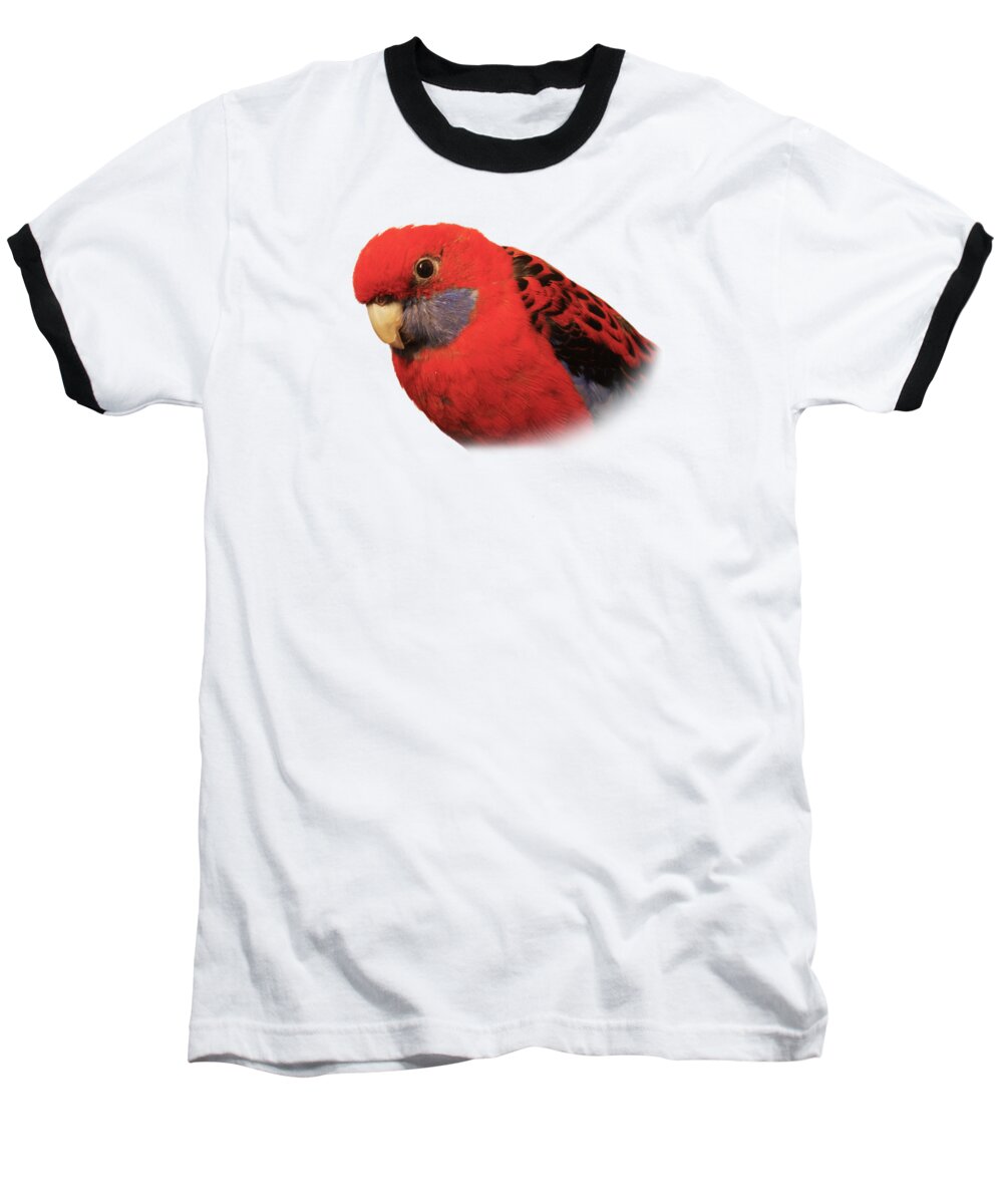 T-shirt Baseball T-Shirt featuring the photograph Bobby the Crimson Rosella on Transparent background by Terri Waters