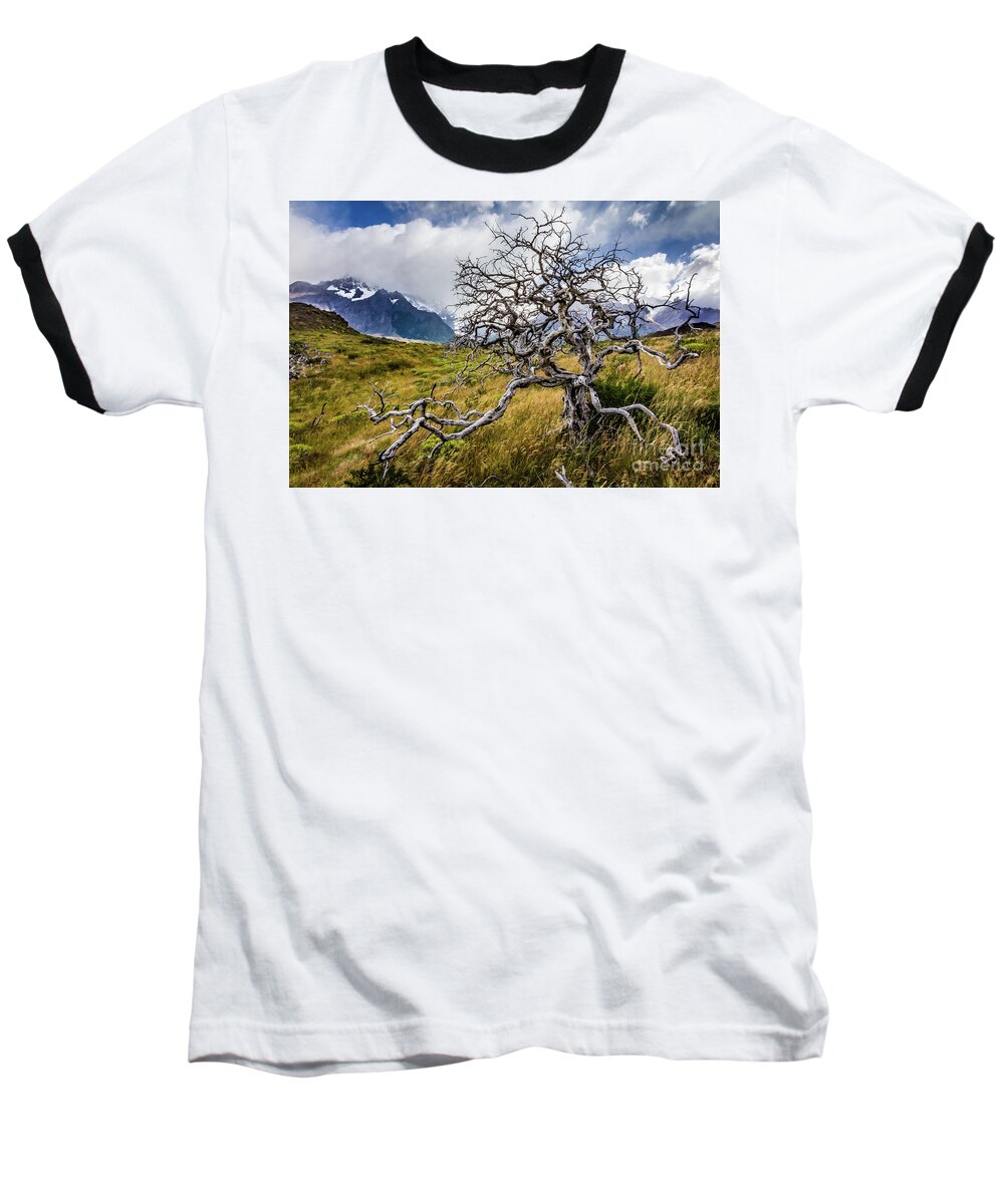 Tree Baseball T-Shirt featuring the photograph Burnt tree, Torres del Paine, Chile by Lyl Dil Creations
