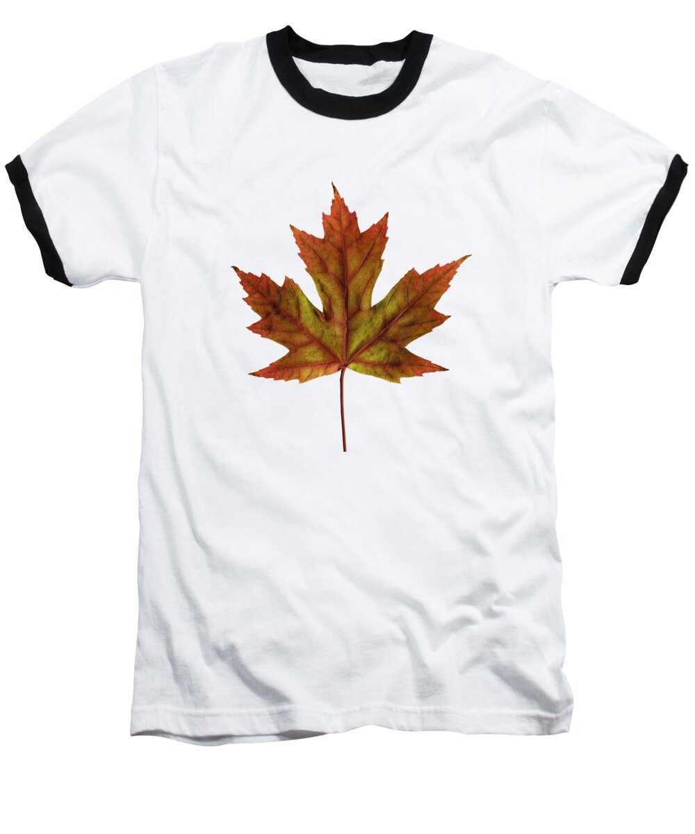 Leaf Baseball T-Shirt featuring the photograph Fall Maple Leaf by Jeff Phillippi