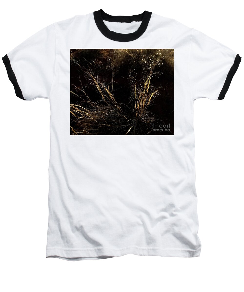 Marcia Lee Jones Baseball T-Shirt featuring the photograph Grasses of Light by Marcia Lee Jones