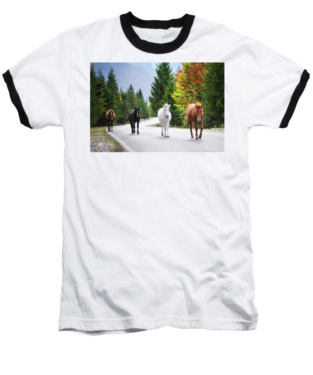 Horse Baseball T-Shirt featuring the photograph Horses by Bess Hamiti