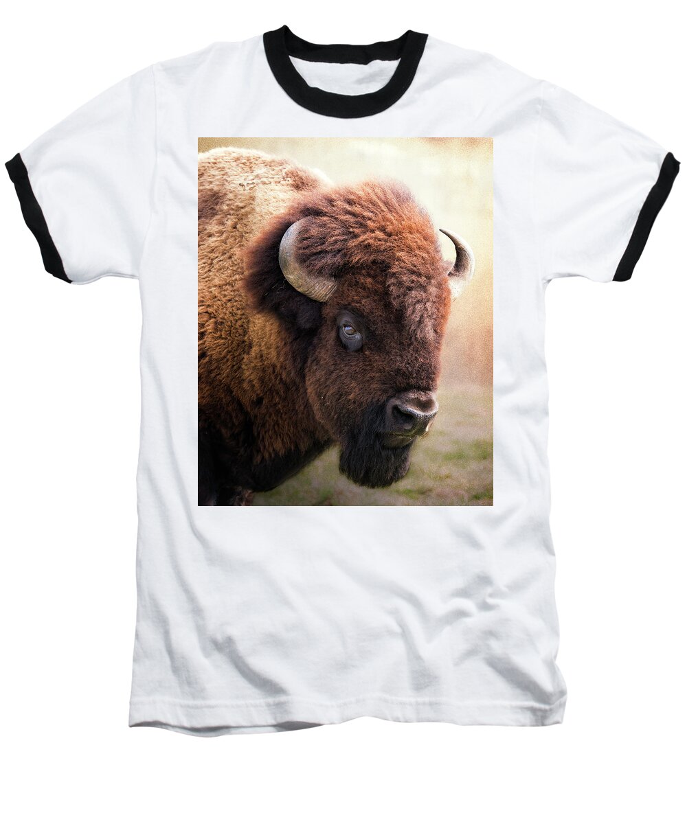 Bison Baseball T-Shirt featuring the photograph Lord of the plains by Ron McGinnis