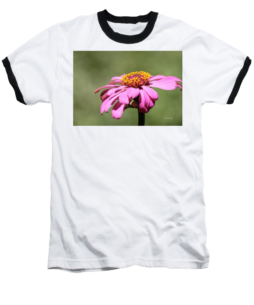 Photograph Baseball T-Shirt featuring the photograph Pink Coneflower in Pastel by Suzanne Gaff
