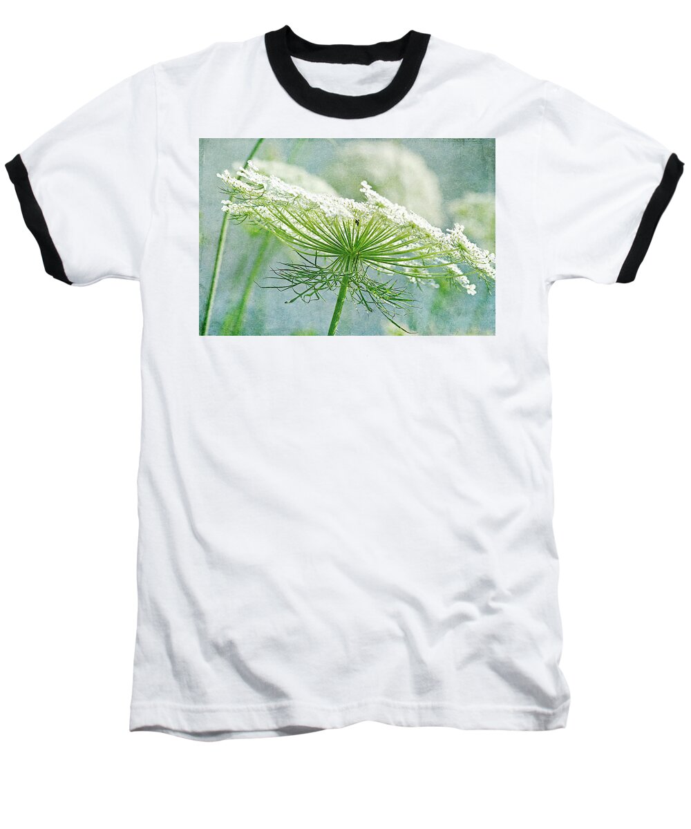 Queen Anne's Lace Baseball T-Shirt featuring the photograph Queen Anne's Lace 3 by Cindi Ressler