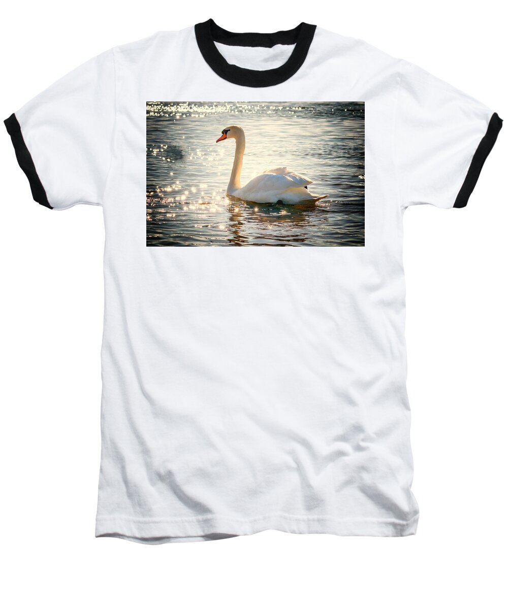 Cute Baseball T-Shirt featuring the photograph Swan on golden waters by Top Wallpapers