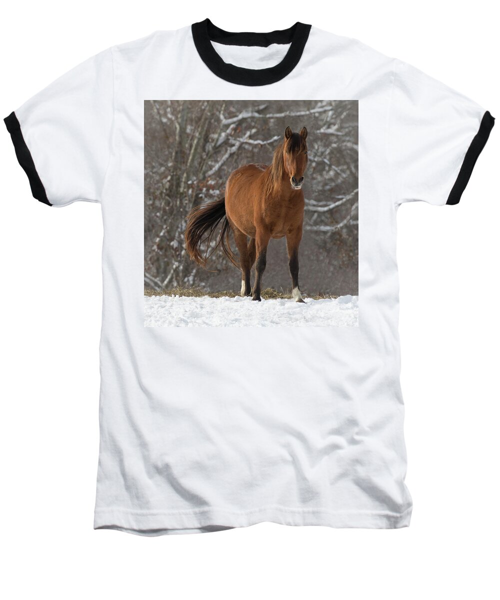 Andalusian Baseball T-Shirt featuring the photograph The Watcher by Art Cole