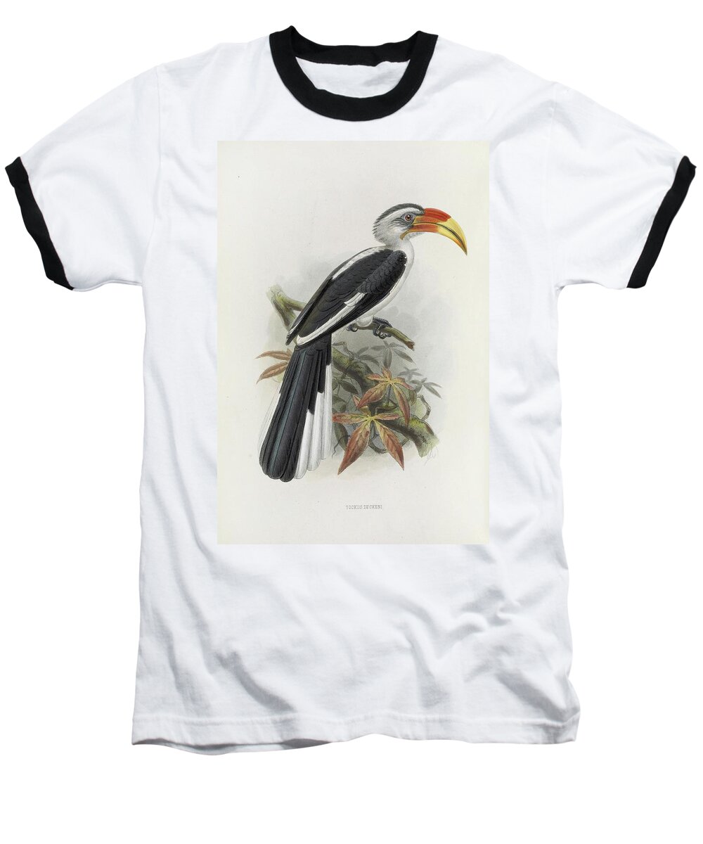 Bird Baseball T-Shirt featuring the painting Tockus Deckeni by Daniel Giraud Elliot