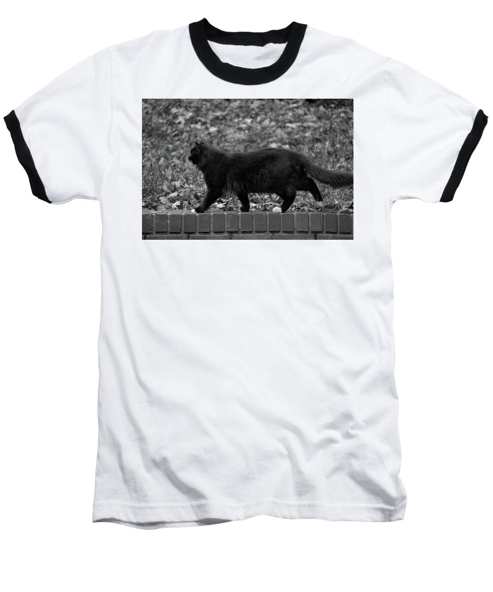 Cat Baseball T-Shirt featuring the photograph Tybalt walking the wall by Andy Lawless