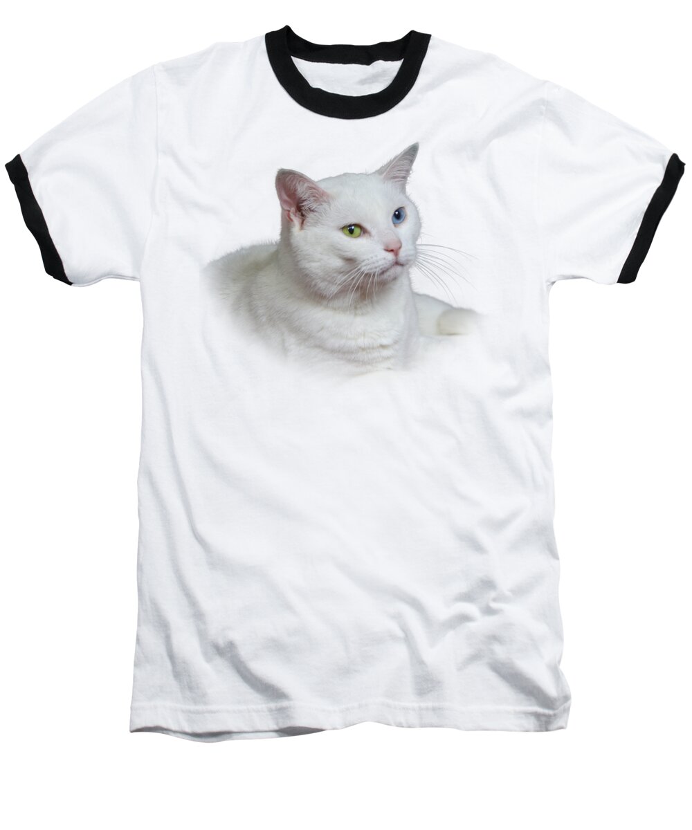 Fur Baseball T-Shirt featuring the photograph White Cat on a Transparent Heart by Terri Waters