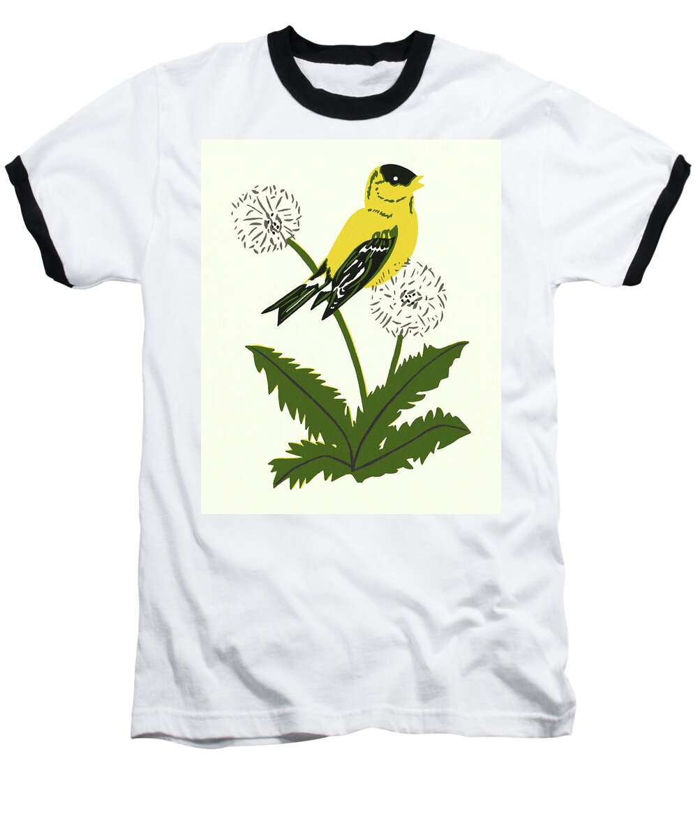 Animal Baseball T-Shirt featuring the drawing Yellow Canary Perched on a Dandelion by CSA Images