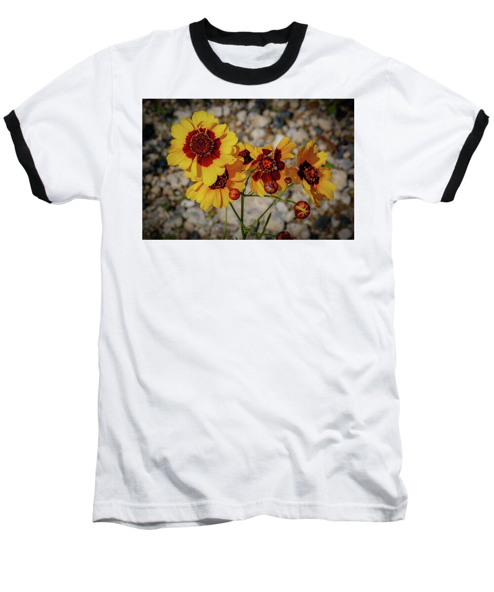 Flowers Baseball T-Shirt featuring the photograph Yellow Wildflowers by Lora J Wilson