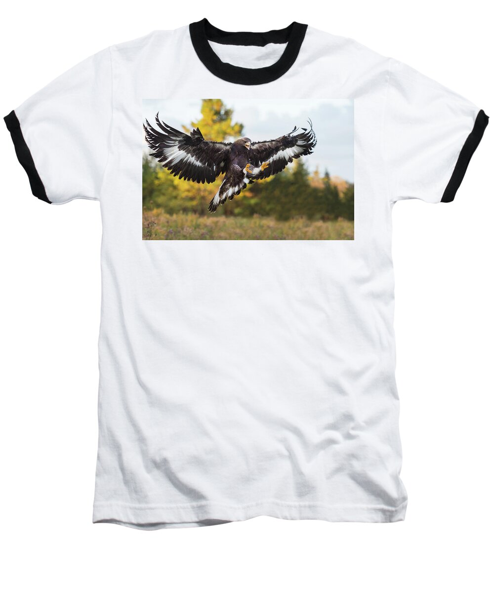 Golden Eagle Baseball T-Shirt featuring the photograph Golden Eagle #2 by CR Courson