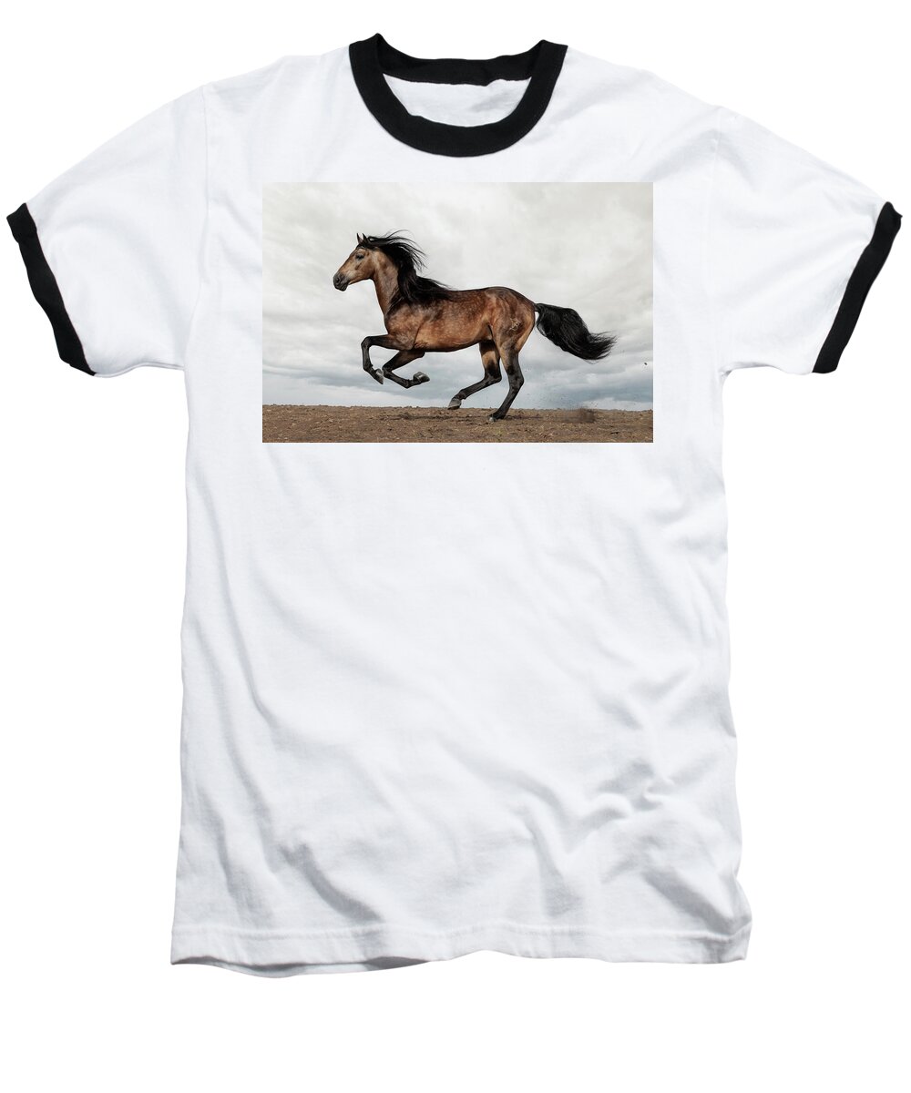 Andalusian Buckskin On The Ridge Baseball T-Shirt featuring the photograph Andalusian Buckskin on the Ridge by Wes and Dotty Weber