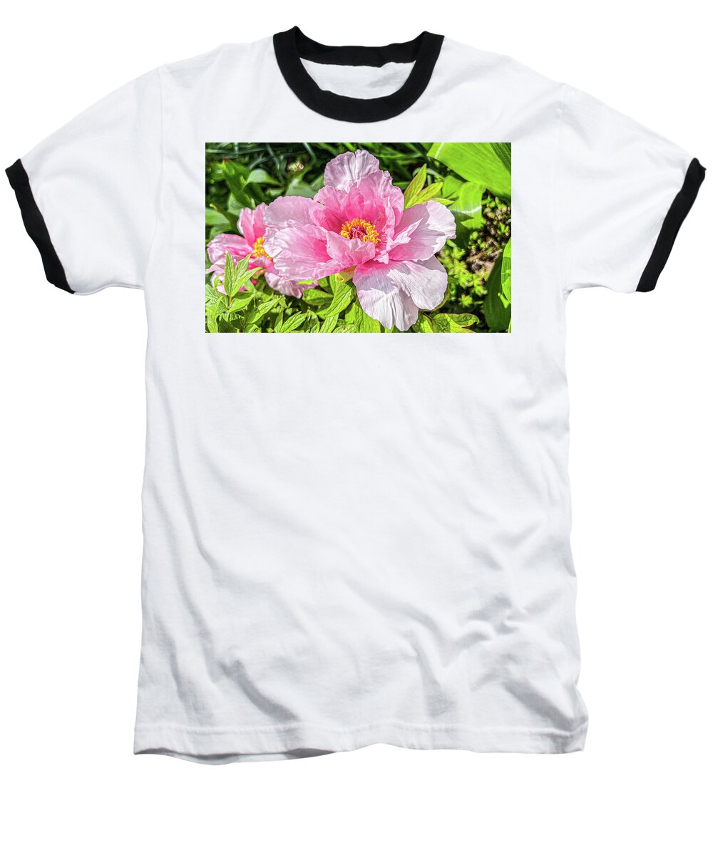 Peony Baseball T-Shirt featuring the photograph Beautiful Pink Peony by Diane Lindon Coy
